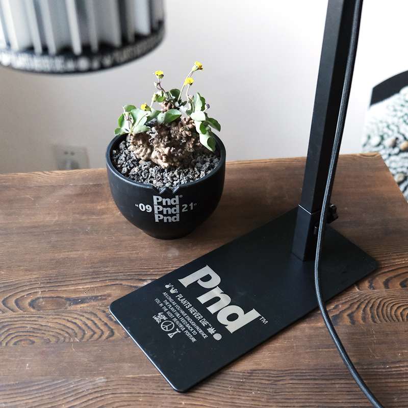 キャンプ用品 植物育成ランプスタンド